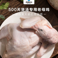 [黄天鹅]凤集安心老母鸡1.2kg