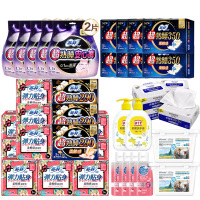 苏菲清洁组合300-1