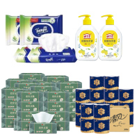清风得宝清洁组合300-8