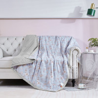 红蜻蜓冬季加厚保暖羊毛毯子轻柔亲肤防静电超柔软大尺寸设计