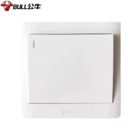 公牛 G32K134 单开多控 墙壁开关