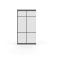 唐权(TANG QUAN)智能文件柜(单副柜)12格 DAT-2800B