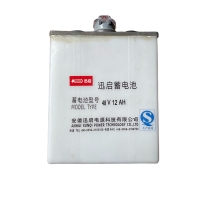 迅启 蓄电池 48V12ah 组