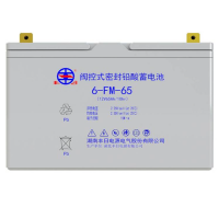 丰日 蓄电池 6-FM-65 只