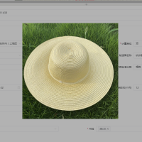 幻窕 WT153 夏季男女防晒帽 农民草帽 遮阳帽子 劳保帽类