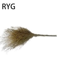 RYG大号竹扫把 5斤 把