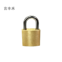 言丰禾 挂锁铜单开 PAD-20mm 把