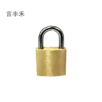 言丰禾 挂锁铜单开 PAD-20mm 把