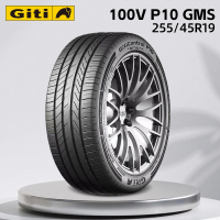 佳通(Giti)静音棉轮胎 255/45R19 100V P10 GMS 原配 比亚迪 海狮07 EV