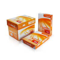 广博(GuangBo) F80425 印加 A4 80克 500张/包 5包/箱 复印纸 1 箱