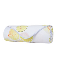 罗莱(LUOLAI)夏被空调被花舞忆梦花漾人生经典夏被悦享绵柔薄荷假日纤维被 夏日心情夏被 150*200cm 夏被