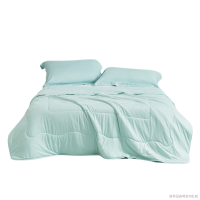 罗莱(LUOLAI)夏被空调被花舞忆梦花漾人生经典夏被悦享绵柔薄荷假日纤维被 A类沁·爽凉感夏被 150*200cm 夏