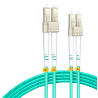 山泽 G4-LCLC03 LC-LC多模双芯万兆光纤跳线 3米