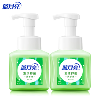 蓝月亮芦荟泡沫抑菌洗手液255ml×2 单位:套