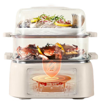 九阳DZ100HG-GZ605电蒸锅