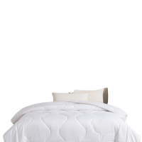 红蜻蜓舒眠臻品 羊毛冬被HQT-YM6601B