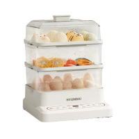 韩国现代电蒸锅AEM-DZG6