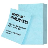 天章 (TANGO)A4平面皮纹纸 封面纸 封皮纸 彩色卡纸 标书封面装订硬厚手工卡纸 浅蓝色 150g 100张 包