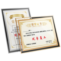 DSB(迪士比)A4水晶证书框 奖状展示框相框玻璃摆台荣誉证书展示框营业执照正本框 银色经典款 4S11