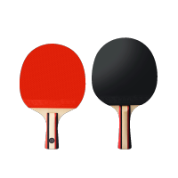 京造 入门级乒乓球拍学生成人比赛训练横直拍对拍套装 含拍包三只球/