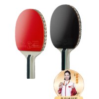 京造 雨燕一星乒乓球拍双拍2只装横直对拍训练套装双面反胶1星 横直板