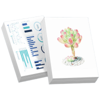 Kingdee金蝶空白凭证纸210*140mm通用会计凭证纸 500张/包热门商品办公用品打印纸