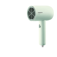 飞科博锐电吹风 1622