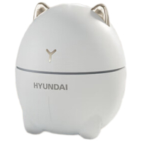 HYUNDAI加湿器/DDM-1