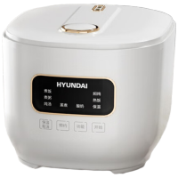 HYUNDAI电饭煲FBD30-5A8