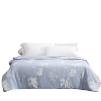 水星家纺DH若影雅致蚕丝被(宁静蓝)200cm×230cm/条122963