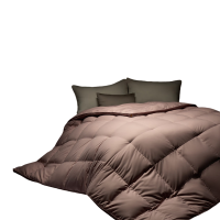 水星家纺DH科尔抗菌防螨复合鹅绒被200cm×230cm/条129082