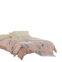 水星家纺DH绮梦花涧法兰绒毯180cm×200cm/条129133