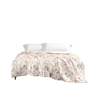 水星家纺DH熏风入梦抗菌夏被200cm×230cm/条127599