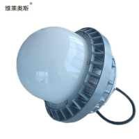 维莱奥斯 PTD1001 30W 2700-7000K IP65 WF2 220V LED支架安装 LED平台灯 (计价单位:个) 银色