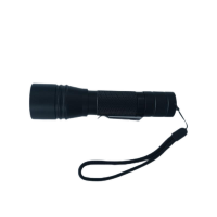 维莱奥斯 DT4002 10W IP66 续航:5h/10h/50h 3.6V 防爆巡检电筒 (计价单位:个) 黑色