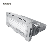 维莱奥斯 TGD1003 LED投光灯110W AC220V IP66 2700-7000K