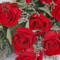 春舞枝 鲜花速递 11朵红玫瑰鲜花礼盒 红玫瑰送女友生日鲜花
