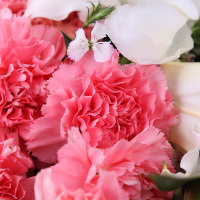 春舞枝33朵粉康乃馨混搭百合花束母亲节礼物鲜花速递