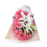 春舞枝33朵粉康乃馨混搭百合花束母亲节礼物鲜花速递