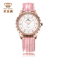 天王表(TIANWANG)新品国产品牌休闲时尚石英表 女士时装皮带手表LS3795P