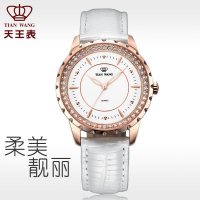 天王表(TIANWANG)新品国产品牌休闲时尚石英表 女士时装皮带手表LS3795P