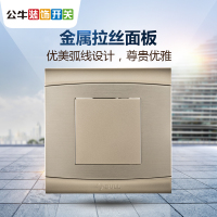 公牛(BULL)开关插座 G19B101(U6)金属香槟金86型白盖板挡板墙壁电源插座空白面板