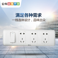 公牛BULL开关插座 墙壁面板带开关一体式十五孔电源插座 G10E608（赠底盒）