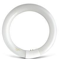 战臣粘捕式灭蝇灯配件GB120/GB1220/GB450/GB200/GB215灯管或粘带 GB1220灯管22W