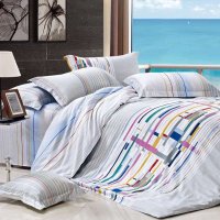 品尚之翼家纺全棉斜纹环保印花四件套1.8米床250*250cm畅想曲
