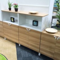 leadshine-coress矮柜A 文件柜 开门柜 双开门 鞋柜 办公柜