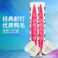 ENPEX乐士12只装训练级羽毛球NO.300