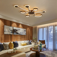 七只蚂蚁 简约现代吊灯餐厅灯LED客厅大灯创意客厅大灯简约现代灯具大气家用创意个性led吸顶灯温馨浪漫卧室灯-PJ101