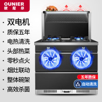 欧尼尔 OUNIER LX5-B侧吸式一体灶环保灶支持变频电机自动清洗 21立方 天然气集成灶