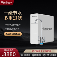 汉斯顿净水器家用直饮厨房自来水ro反渗透净水机升级款P60双水